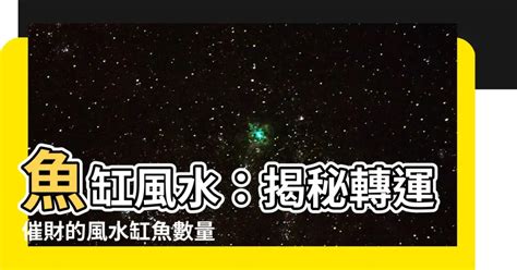 風水魚數量|揭秘風水魚養殖最佳數量指南：招財納福必學秘訣 